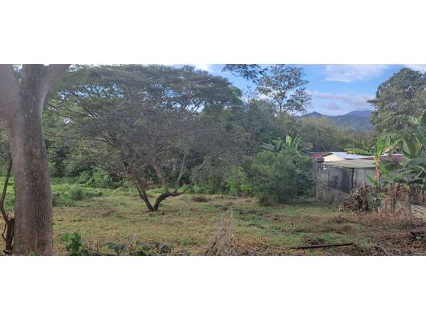 VENTA DE TERRENO MIXTO, CUATRO ESQUINAS DE OROTINA 4147 (GC)
