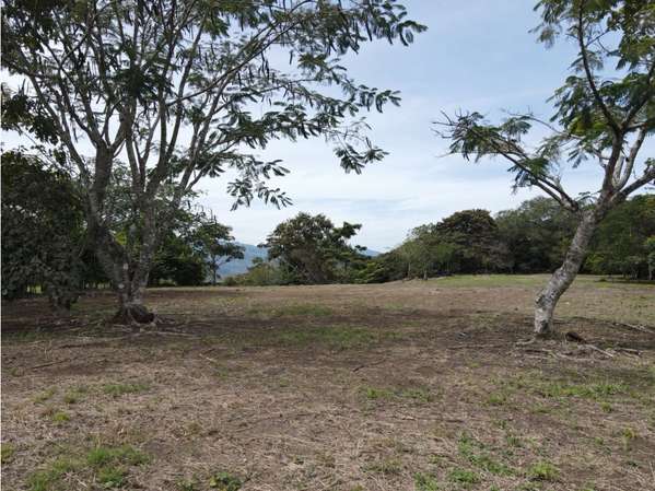VENTA DE TERRENO, GUACIMA, VISTAS DEL ARROYO 4160 (GC)