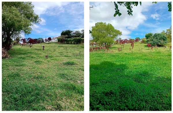 Exclusive Premium Property in Vásquez de Coronado