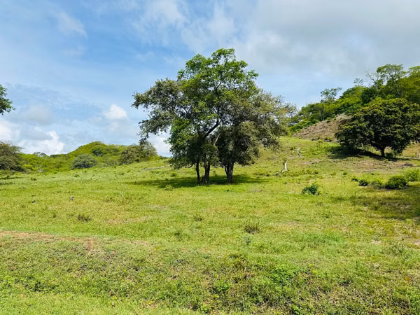 Land for development in Tamarindo: 32 hectares with a master plan of 57 units.