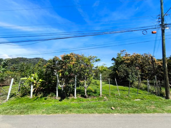 Sell land with coffee variety Arabic and geisha