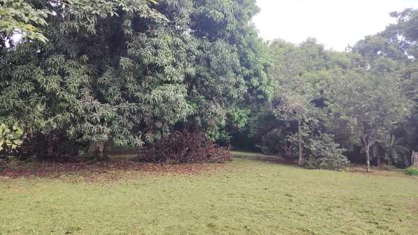 PLOT FOR SALE IN GUACALILLO - 124; 3,820 M ² NEAR THE BEACHES OF THE PEACEFUL