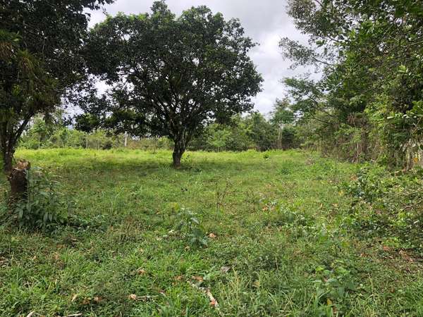 Finca en Venta 8 Hectáreas en San Carlos – Acceso al Río – Ideal Ganadería o Ecoturismo