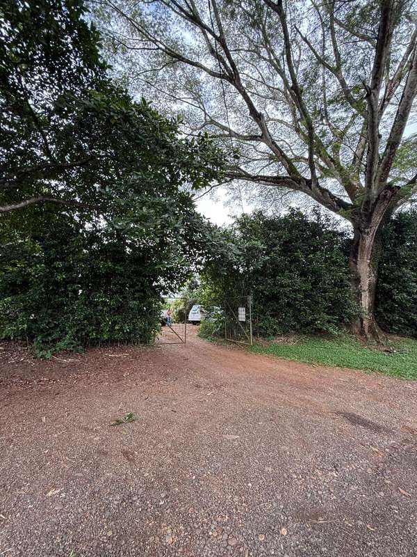Finca Productiva de Mango en Venta en Turrubares el Llano | 62.281 m² con Ingresos Activos