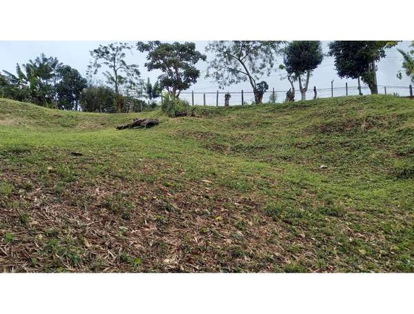 VENDO LOTE EN PURISCAL.