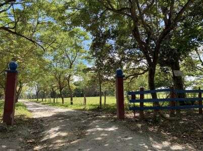 Finca con gran potencial en Liberia, Guanacaste