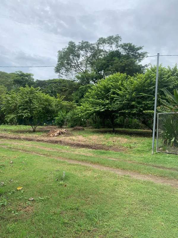 345 m² LOT FOR SALE IN MANZANILLO – NEAR SANTA TERESA & PLAYA HERMOSA and Minutes to the beach