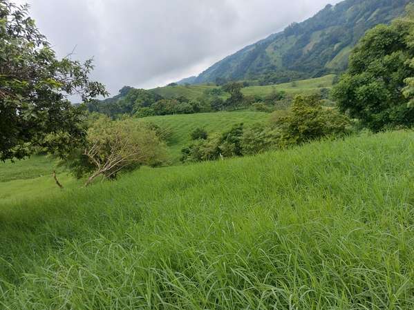 Venta de Finca Lechera en Tilarán, Guanacaste