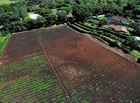 VENDO LOTE EN SAN RAFAEL DE ALAJUELA. USO DE SUELO MIXTO