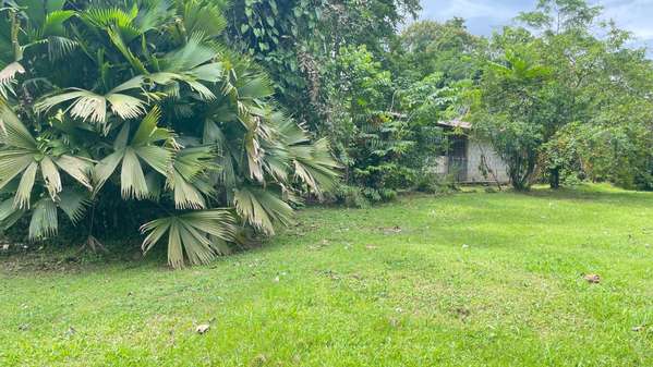 Lote de 3.149 m² en La Colonia de Guápiles: tu oasis natural con seguridad y fácil acceso
