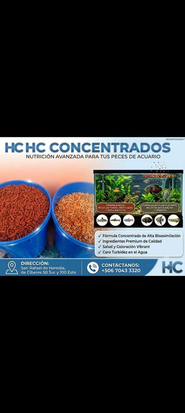 Alimento para peces de acuario 