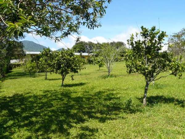 Property with 4 Houses in San Isidro de Heredia, Heredia