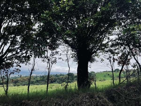 Fincas en Santiago de Paraíso de Cartago, Cartago