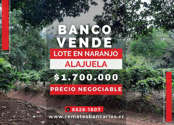 Lote para desarrollo en venta en Naranjo, Alajuela