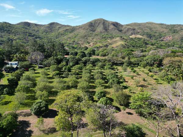Venta de finca en Turrubares – Producción Agrícola, Casas y Piscina