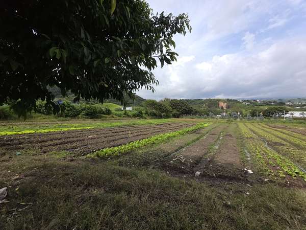Venta de Lote Industrial en Cartago - ID 43894 VG