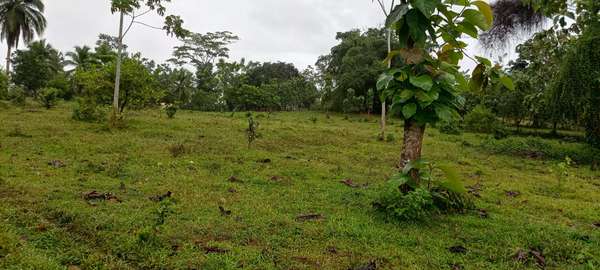 Finca 22 hectáreas, 8,805 m2