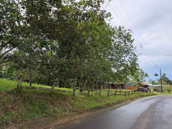For sale: Premium eco-residential property in Venecia de San Carlos, located 2 km from the town center; all utilities ar