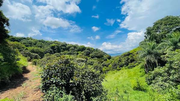 LAND FOR SALE IN ATENAS, PUNTARENAS