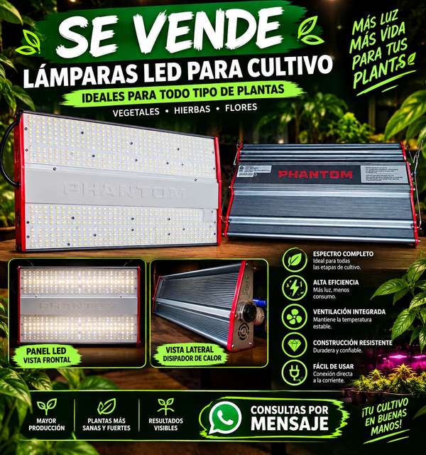 Luz Led