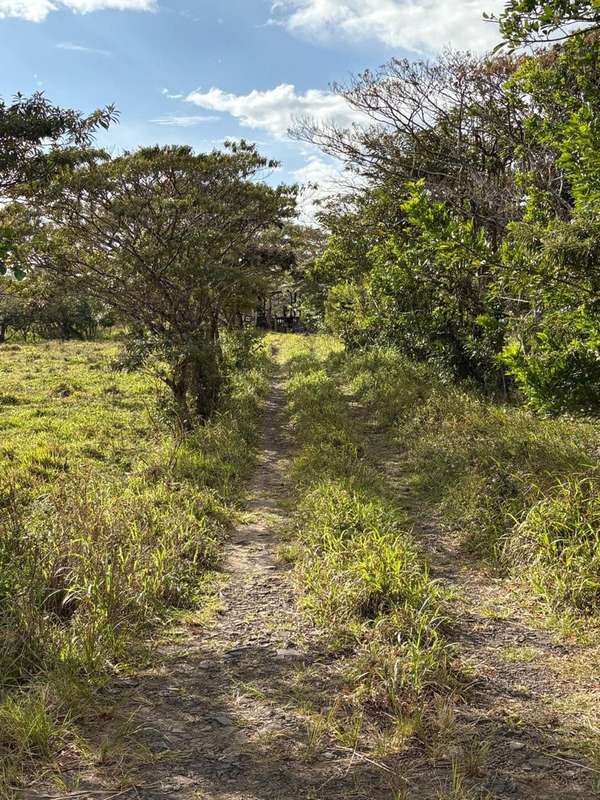 Finca Ganadera en Venta Bagaces, Guanacaste MV-255