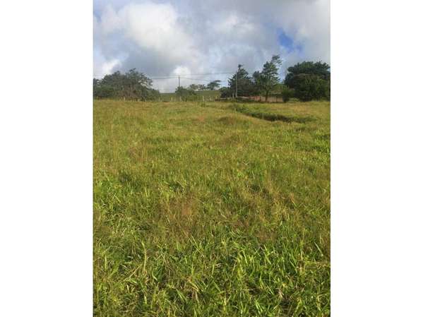  LOTE CON GRAN POTENCIAL DE DESARROLLO Tilarán, Guanacaste