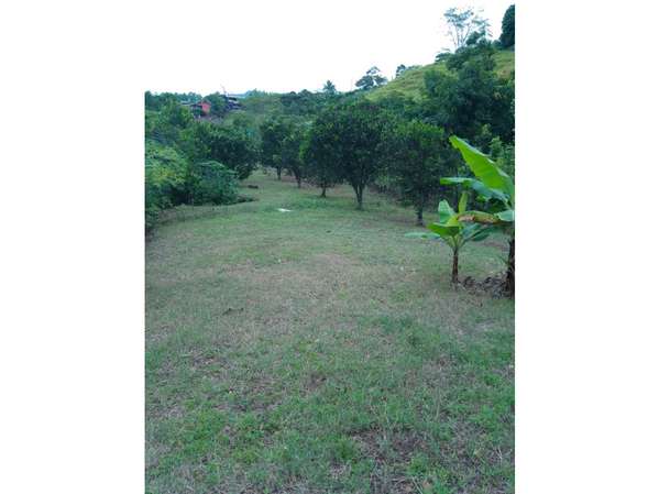 Exclusividad y Naturaleza: Terreno de 4,216 m² en Atenas