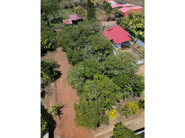 Terreno en Venta en San Pedro de San Ramón
