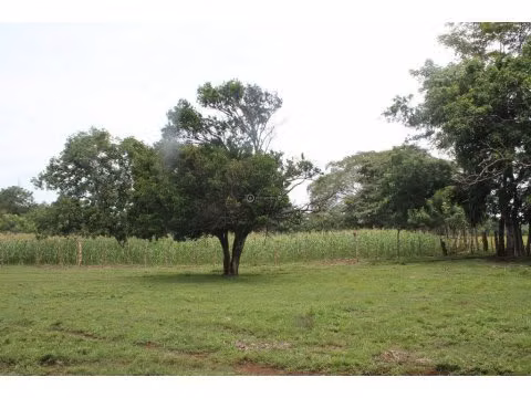 PROPERTY FOR SALE IN ESPARZA