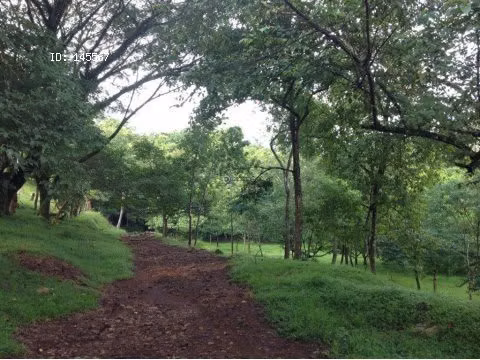 PROPERTY FOR SALE IN OROTINA