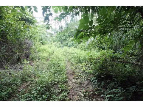 SALE OF LAND