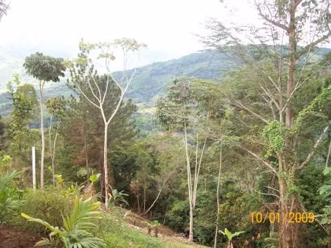 Vendo Finca en la Cumbre
