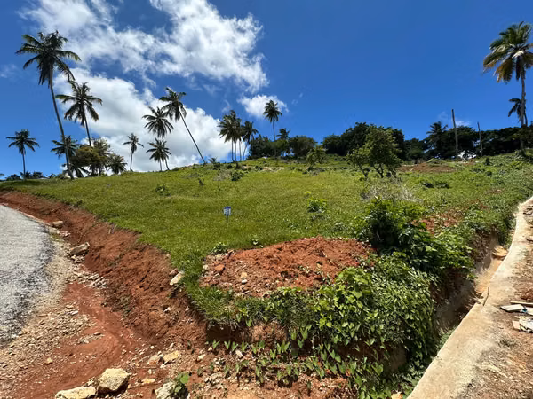 Terrenos con alta proyección Samaná