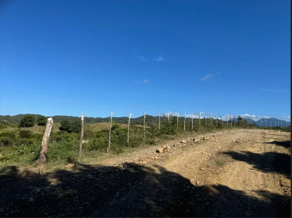Land for Sale in Bani with cattle