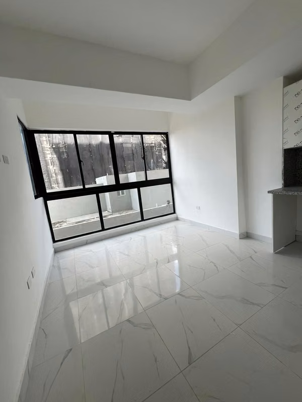 Apartamento Estudio en Venta en el Naco