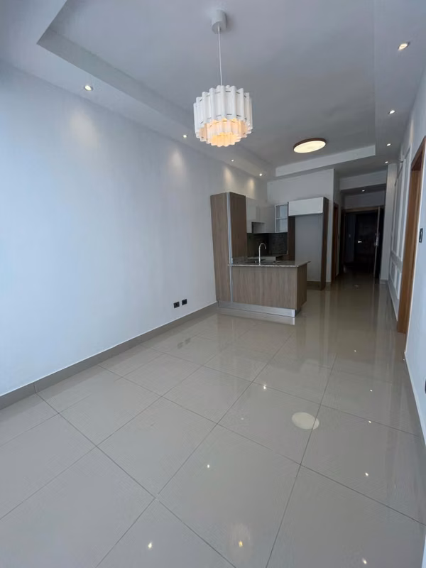 Modern 1-room apartment in Renaissance, National District, Santo Domingo