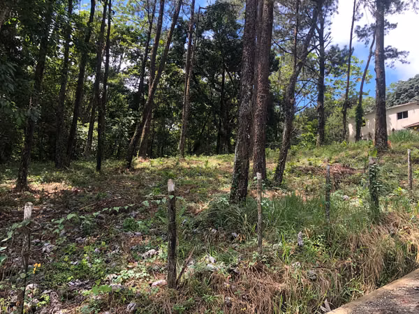 406 SOLAR EN LA MONTAÑA, JARABACOA