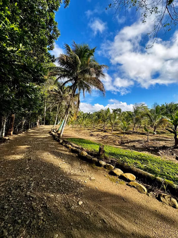 TERRENO DE 16 TAREAS DE VENTA EN VILLA ALTAGRACIA