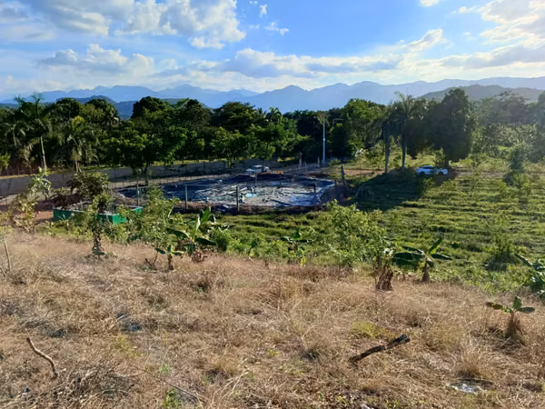 FINCA 202 TAREAS DE VENTA EN BONAO