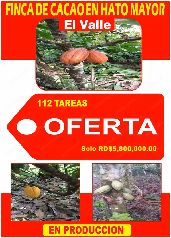 Finca de CACAO en PRODUCCION, 112 tareas, en El Valle de HATO MAYOR