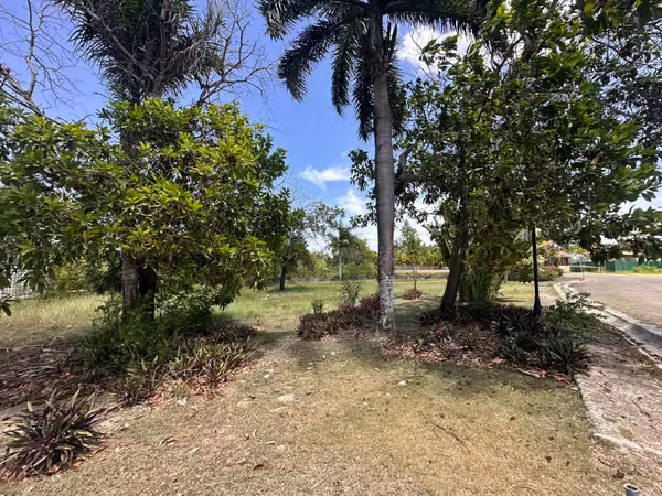 Land for sale the palms port silver