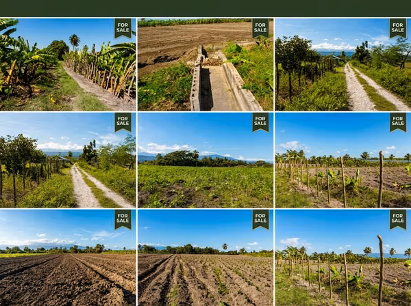 For sale is a large finca comprising 501 tareas (approximately 315,058.86 m²)