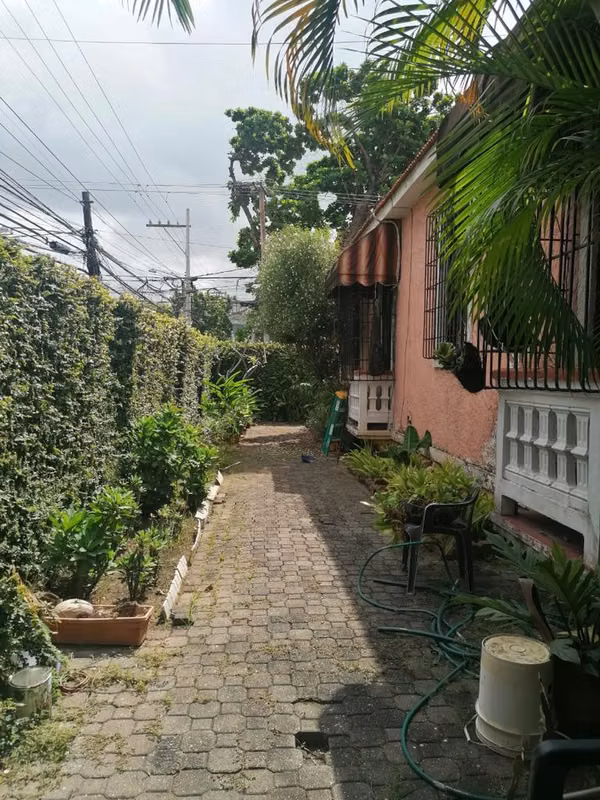 LOCAL COMERCIAL | BELLA VISTA