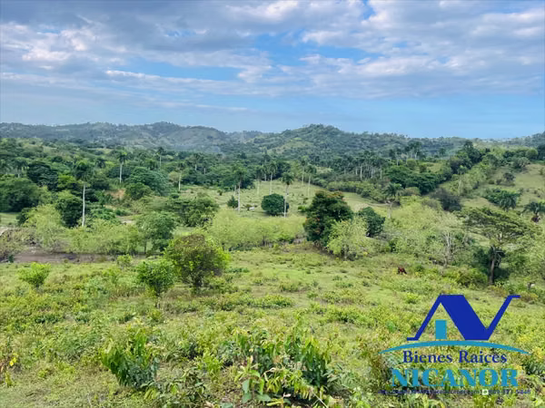 Finca ganadera en venta de 2,300 tareas en adelante hasta 5,200 tareas