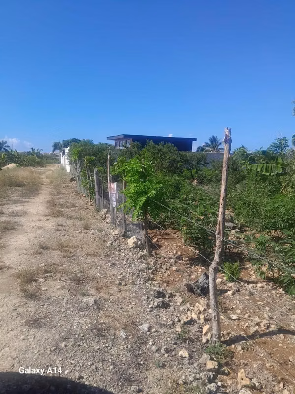 Terreno en el Macao