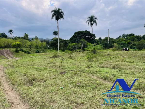 Finca of 2,300 tasks for sale in imbert port silver