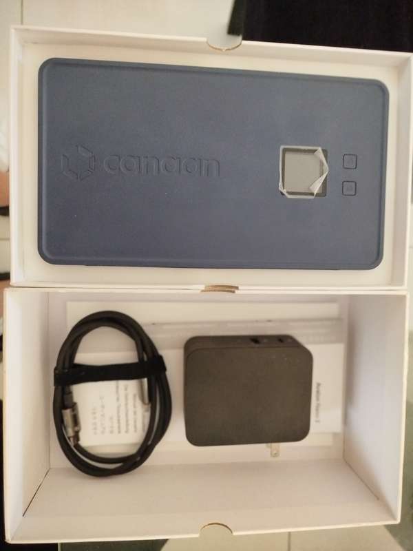 CANaan Avalon nano