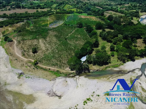 Finca of 390 tasks sown of platanos for sale imbert port silver