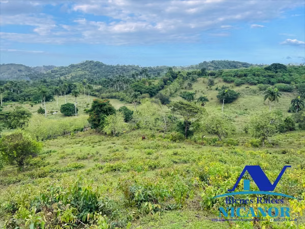 Finca de 2,300 tareas en venta en imbert 