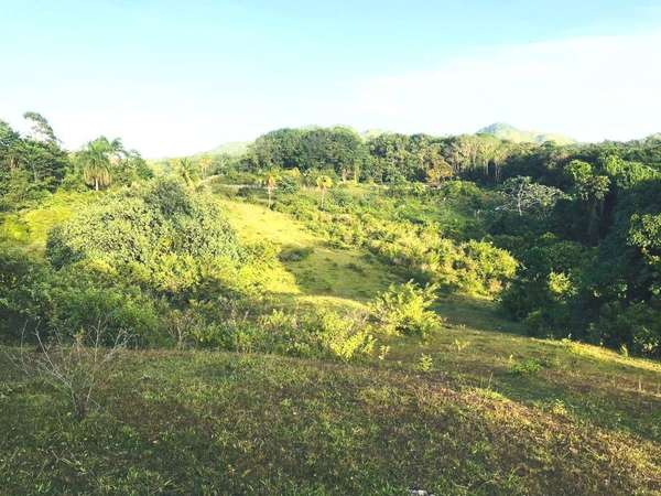 Land for Sale Las Terrenas